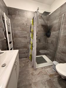a bathroom with a shower and a toilet and a sink at Infinity Apartman in Esztergom
