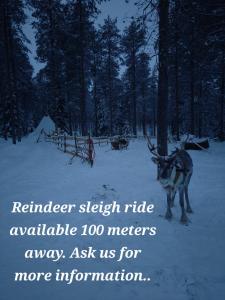 una renna in piedi nella neve in una foresta di Raanu Apartment 59km from Rovaniemi center a Raanujärvi