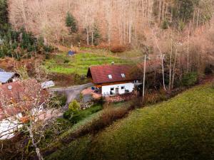 a house on the side of a hill next to a road at Haus Sigmund in Waldhäuser