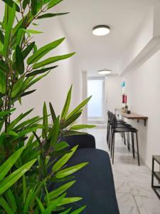 een rij stoelen in een wachtkamer met een plant bij Balluta Bliss in Il-Gżira +10 foto's