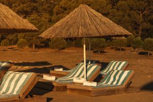 Příroda nedaleko hotelu