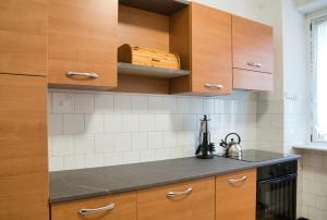 Η κουζίνα ή μικρή κουζίνα στο Garden - residence in the center of Barzio