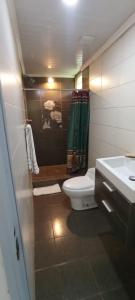 Cerroazulfarmlodge في سيرو أزول: حمام مع مرحاض ودش ومغسلة