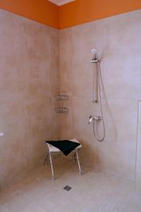 een douche met een bank in de badkamer bij Hofensemble nahe Berlin in Lietzen +37 foto's