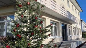 a christmas tree on the side of a building at Hôtel La Réserve in Gérardmer