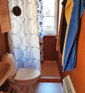 Cottage with Natural Plot and Sauna on Mjörn SE09134 في Dyvik: حمام مع مرحاض ونافذة