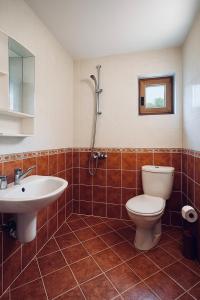 un baño con inodoro y lavabo en Complex Ristanite, en Elena