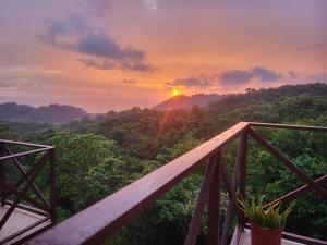 Φυσικό τοπίο κοντά σε αυτή η παραθεριστική κατοικία +7 φωτογραφίες