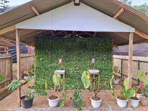 a green wall with two stools and plants at Aubrey Villa Ciwidey in Pengalengan