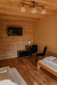 Μια τηλεόραση ή/και κέντρο ψυχαγωγίας στο Apartament Sosnowy Domek Parter Zator Graboszyce +4 φωτογραφίες