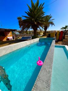 a swimming pool with a pink paddle in the water at The Tree House Surf Camp in Adeje +17 photos