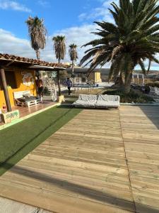 a wooden walkway with a green lawn and palm trees at The Tree House Surf Camp in Adeje