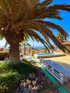 a palm tree next to a beach with a bench at The Tree House Surf Camp in Adeje