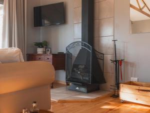 a living room with a fireplace with a tv at Barn Owl Cabin at Vrolikheid Landgoed in Tulbagh