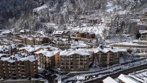 アリンサルにあるHotel Princesa Parc Excellenceの雪に覆われた建物を持つリゾートの空中ビュー