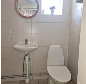 a bathroom with a toilet and a sink and a mirror at Cozy cottage on beautiful Rossö, Orust SE09130 in Röd