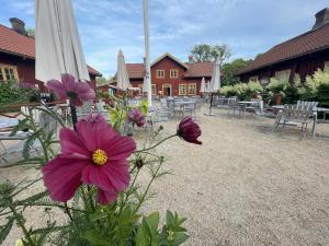 a bunch of flowers in front of a building at Cozy cottage on beautiful Rossö, Orust SE09130 in Röd +7 photos
