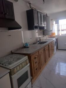 een keuken met een fornuis bovenoven naast een gootsteen bij Mendoza in Barraquero
