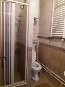 a small bathroom with a toilet and a shower at Apartments Vojinovic in Žabljak