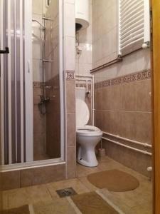 uma casa de banho com um WC e um chuveiro em Apartments Vojinovic em Žabljak