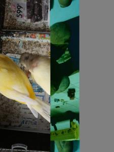 Fotografie z fotogalerie ubytování La Parenthèse  + 25 fotografií