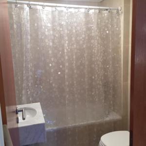 y baño con cortina de ducha y aseo. en Casa ivana 3 en Buenos Aires