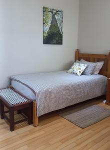 een slaapkamer met een bed en een schilderij aan de muur bij 'The Cape Robin' studio apartment in Hoheizen