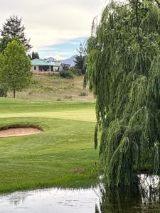 un saule pleureur sur un terrain de golf dans l'établissement 127 Clarens Golf Villa, à Clarens