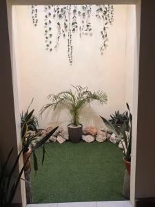 Κήπος έξω από το Casa Vásquez