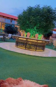 The modern village في ‘Ayn Amūn: مجموعة كراسي وطاولة مع شجرة