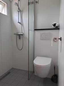 Hooiberghut op boerderij في لايدسخيندام: حمام ابيض مع مرحاض ودش