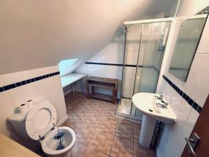 een kleine badkamer met toilet en wastafel bij Pebbles Guest House - Flat 6 in Southampton