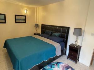 a bedroom with a large bed with a blue blanket at Christiana Apartment Morne Daniel in Canefield