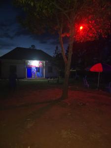 a house with a red light and a tree at night at Risa Camping Site in Kiyunga