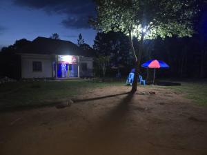 a blue and red umbrella in a yard at night at Risa Camping Site in Kiyunga