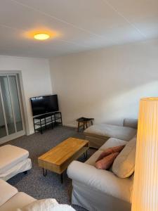 a living room with two couches and a tv at 3 bedrooms apartment in Fionnay in Fionnay
