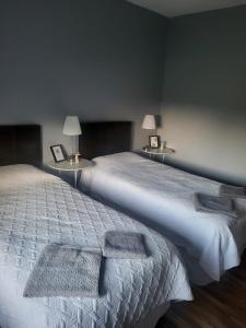 a bedroom with two beds and two tables with lamps at Sunny south east in Wexford in Blackwater