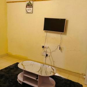 GituraJanesuites kenol的带电视和咖啡桌的客厅