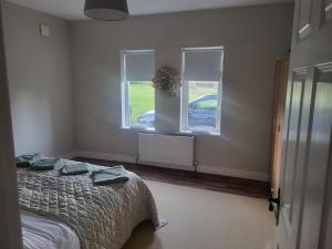 a bedroom with a bed and two windows at Sunny south east in Wexford in Blackwater