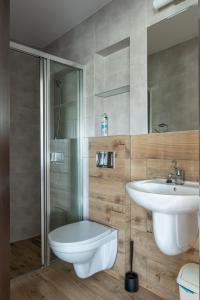 Willa Widok في بوكافينا تترايسكا: حمام مع مرحاض ومغسلة ودش