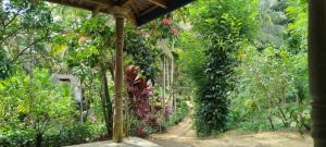 un jardín con cenador con plantas en Sinharaja Tour Guide, en Nikawatawana