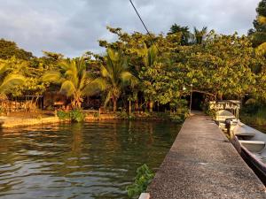 Příroda nedaleko chaty