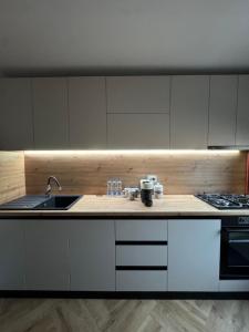 Kuchyň nebo kuchyňský kout v ubytování 1 Mai Apartament
