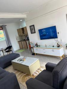 坎帕拉Green vee apartment的有两张沙发和一台电视的客厅