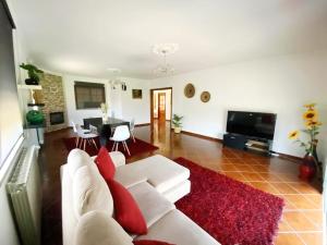 a living room with a white couch and a red rug at PESO RIVER HOUSE in Melgaço