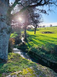 Φυσικό τοπίο κοντά σε αυτό το bed & breakfast