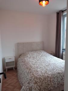 a bedroom with a bed and a window at Appartement spacieux in Lille