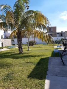 Zahrada ubytování Casa Mar Miramar