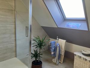 een badkamer met een douche en een dakraam bij Ty Annick chambres d'hôtes in Kermen