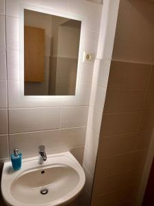 Ένα μπάνιο στο Ferienwohnung Goldener Hirsch +5 φωτογραφίες